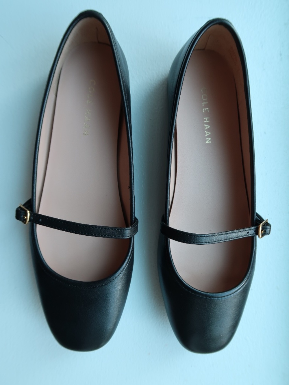 NEW UNWORN Cole Haan Women's Yelena Mary Jane Ballet Flat